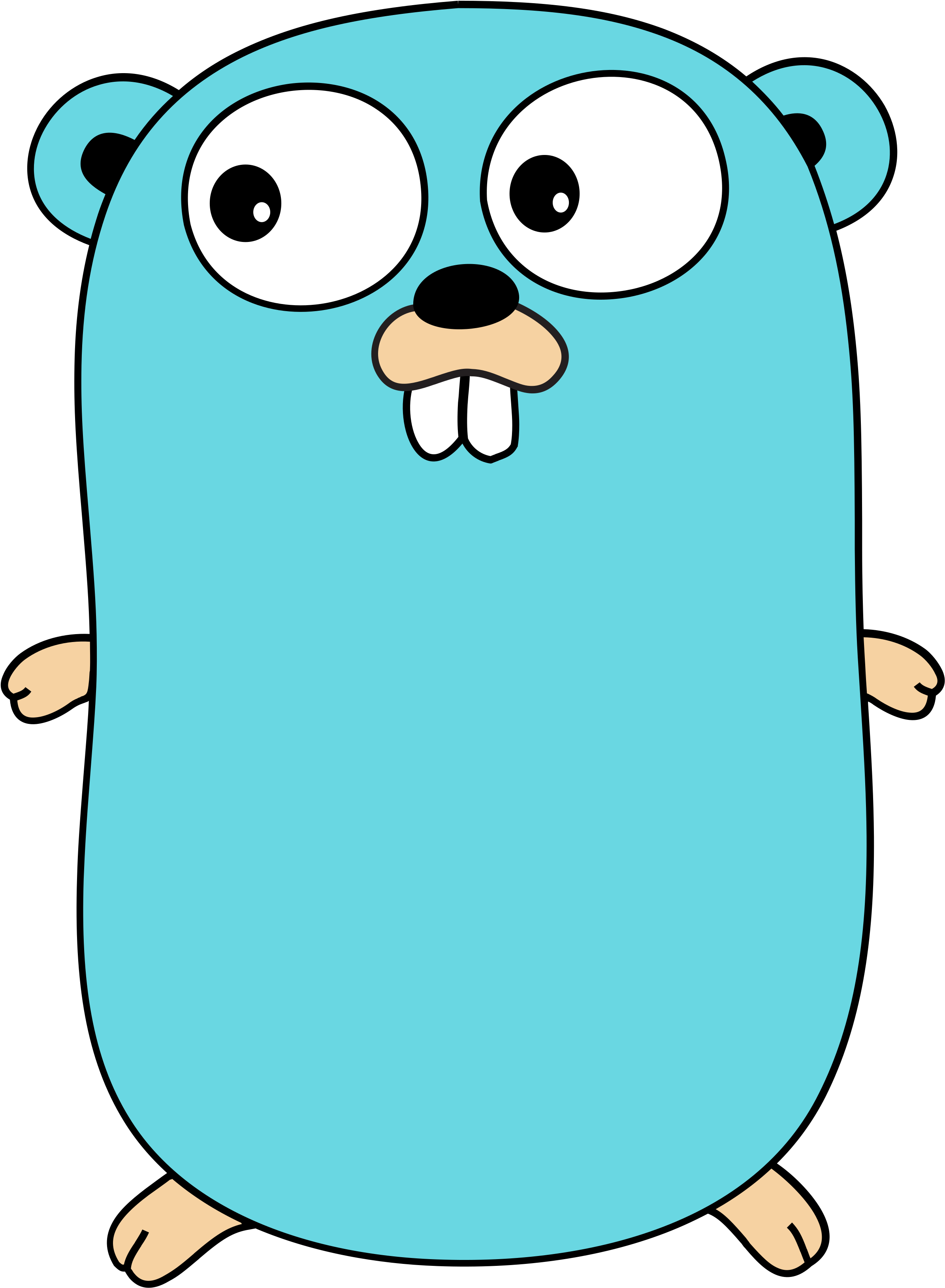 Test Not Foto